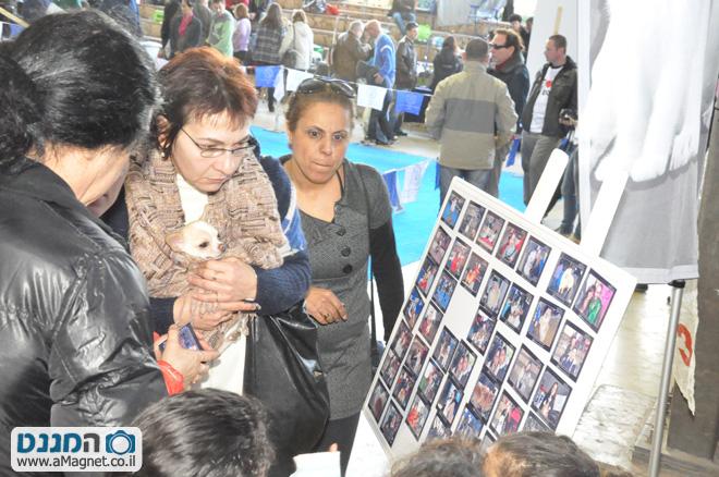 תמונה גדולה